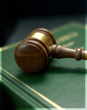 Das Verfahren vor dem Verfassungsgericht der BH